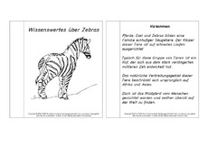Mini-Buch-für-Lapbook-Zebra-Lesetext.pdf